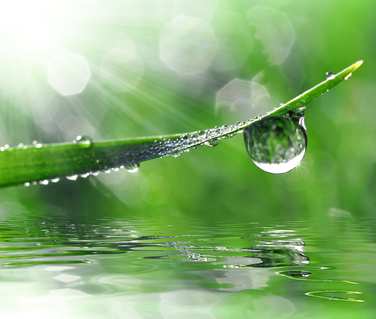 Symbolbild grünes Blatt mit klarem Wasser